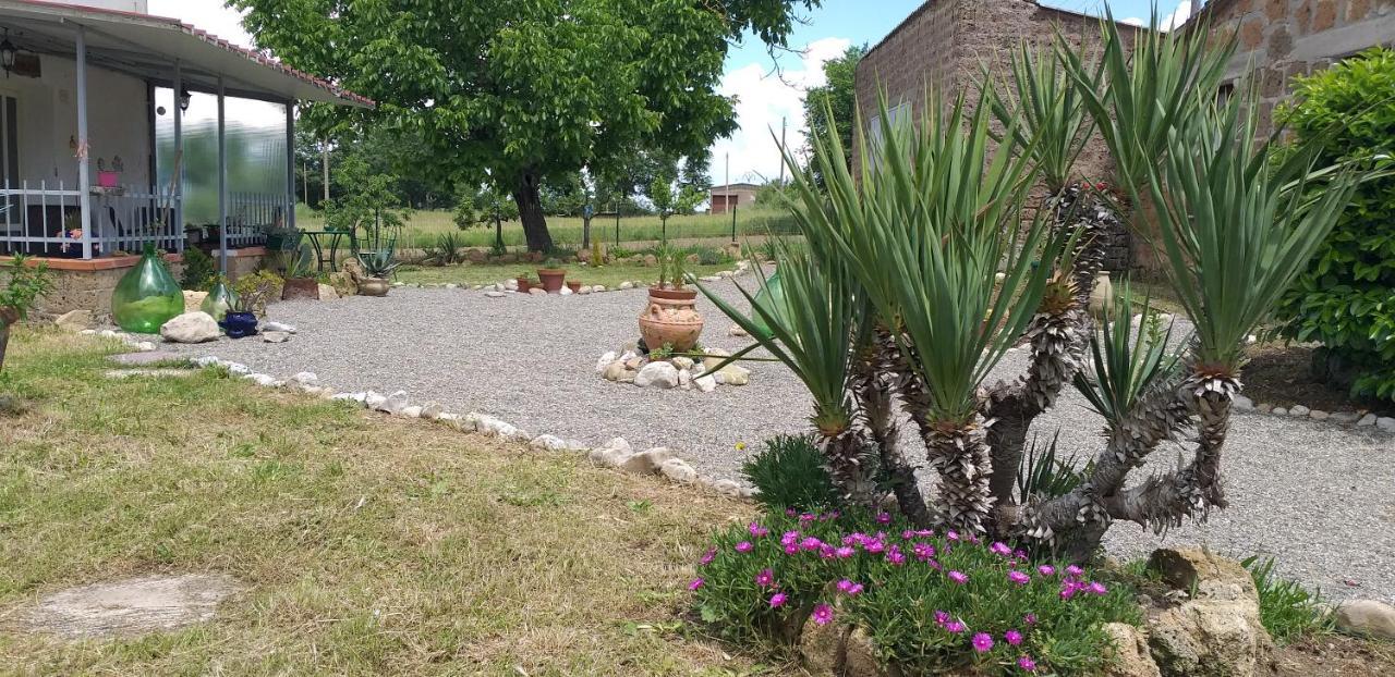 La Cascina Della Grotta Di Tufo Bed & Breakfast San Valentino  Dış mekan fotoğraf